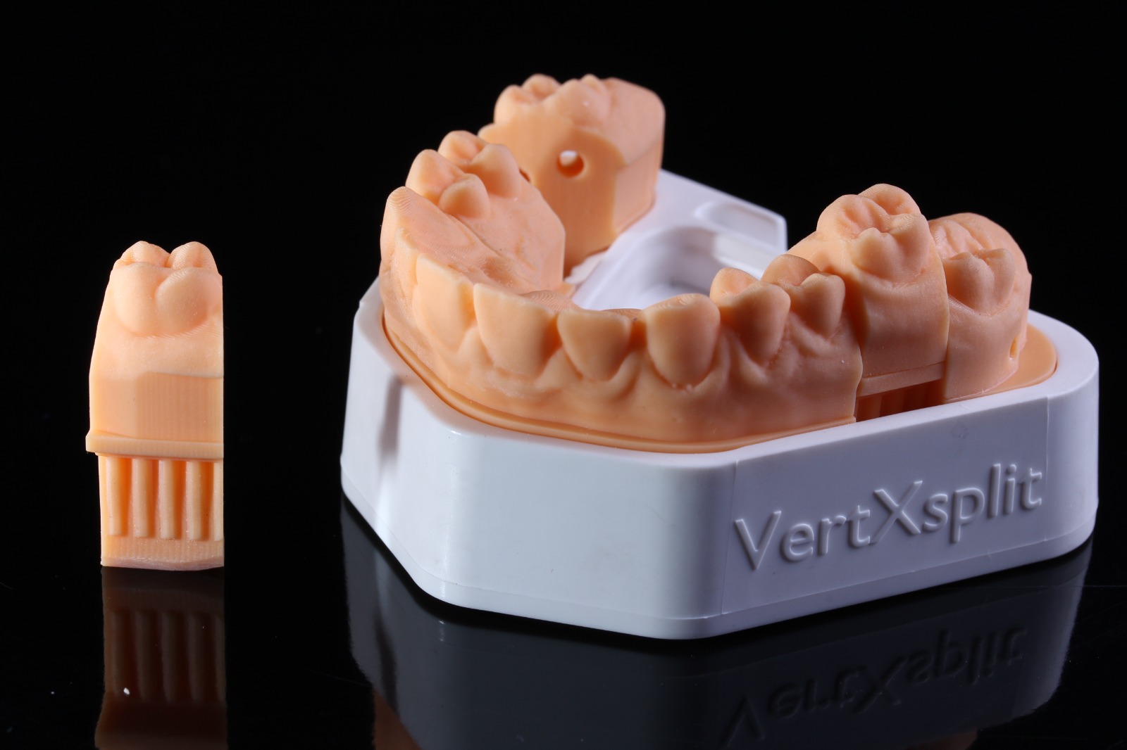 dental lab model